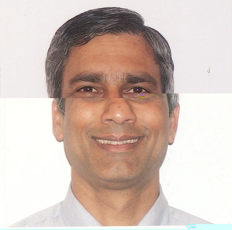 Nalini Ratha