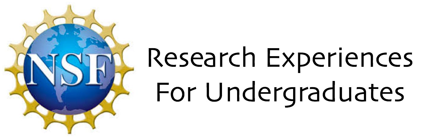 NSF REU