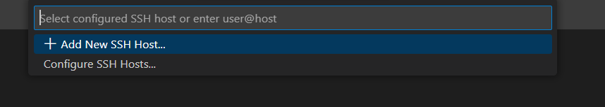 vscode host 2